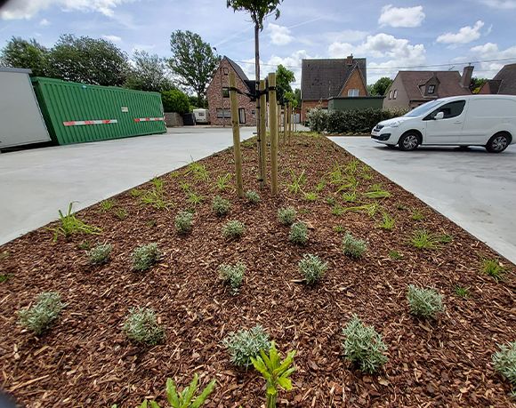 beplanten tuin