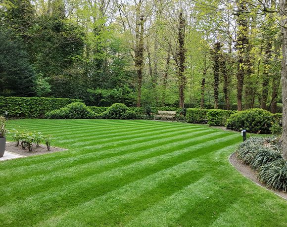 tuinier westvlaanderen